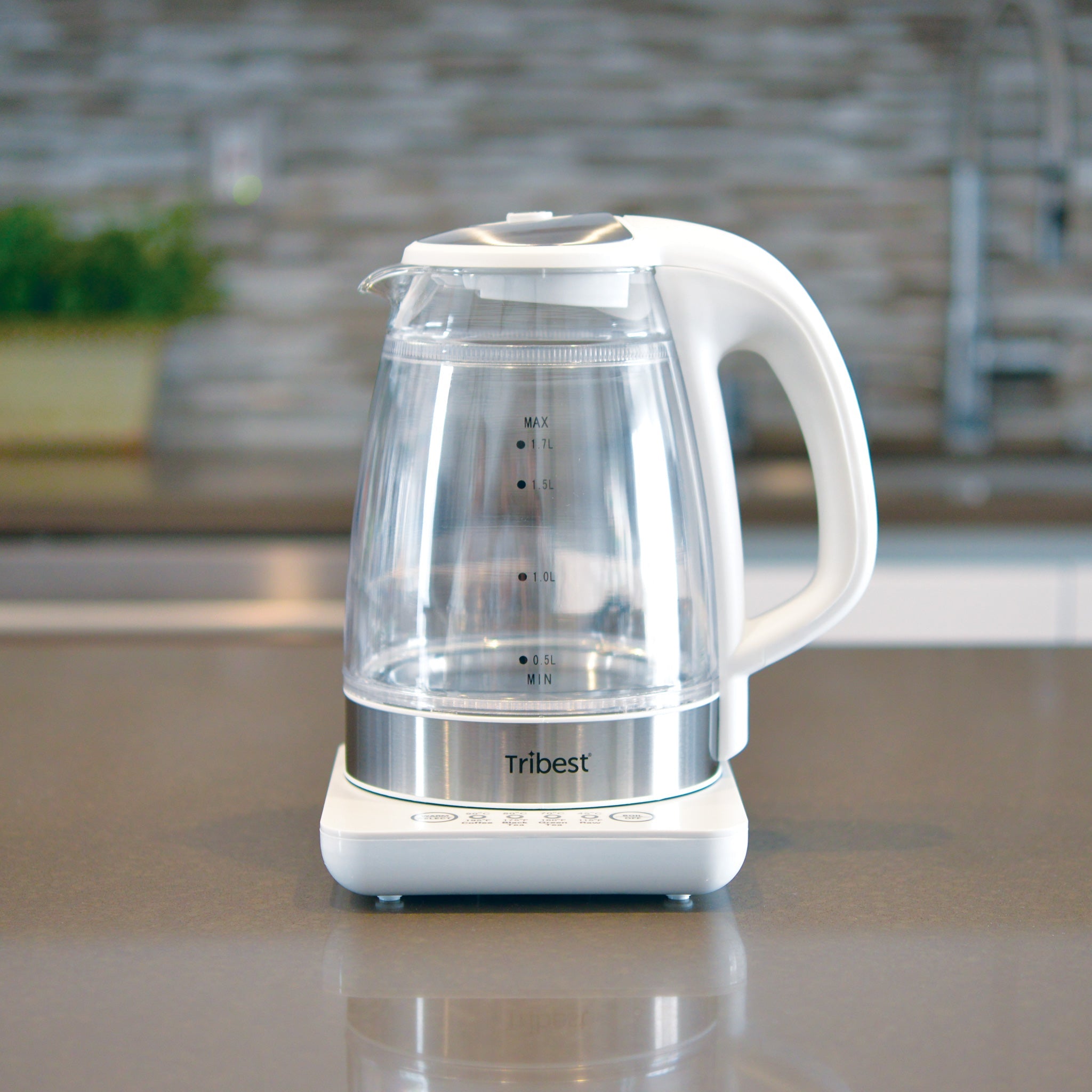 Raw Tea Kettle® Glass Electric Water Kettle GKD-450 - Tribest